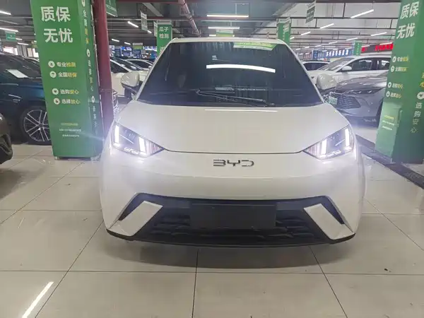 BYD Seagull 2024