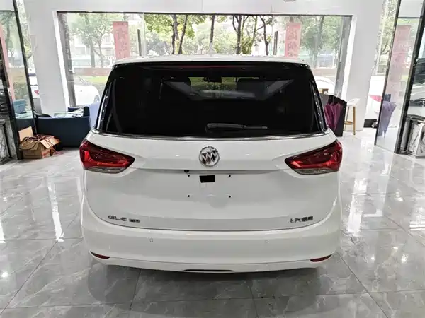 Buick GL6 2019