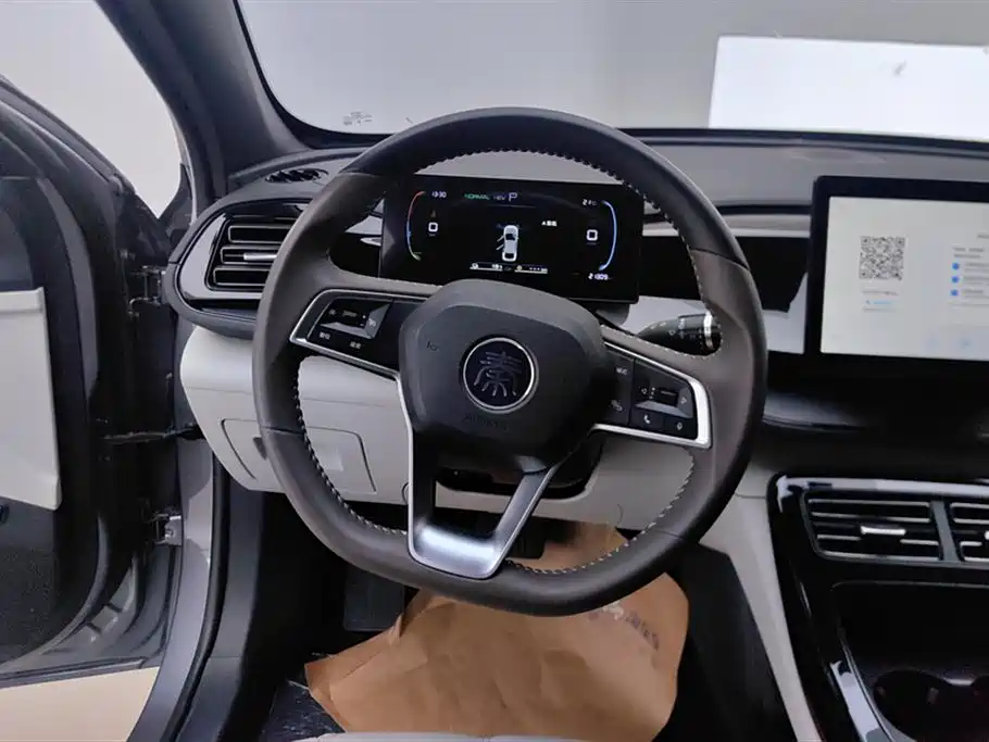 BYD Qin PLUS 2024 — фото 15