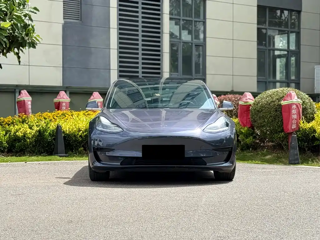 Tesla Model 3 2021 — фото 2