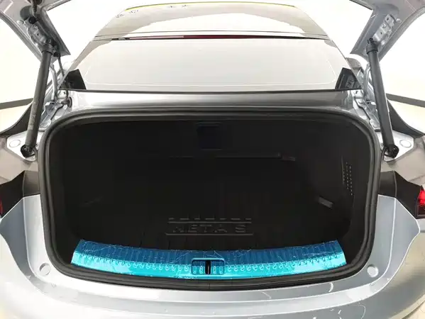 Neta S 2023