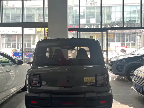 Geely Galaxy Panda 2024