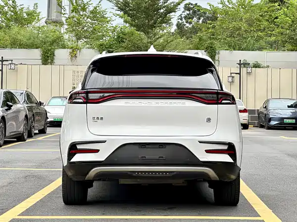 BYD Tang New Energy 2020