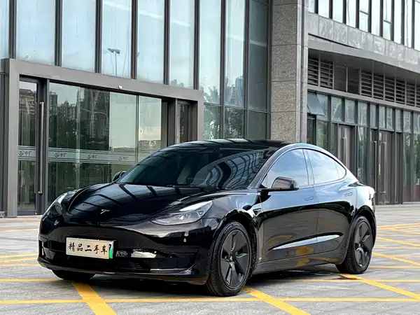 Tesla Model 3 2021
