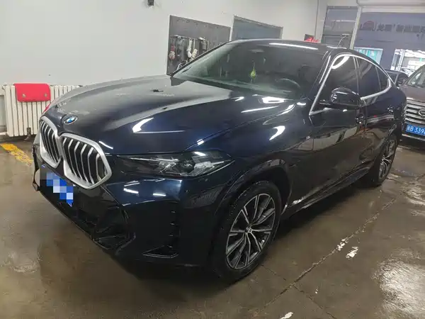 BMW X6 2024