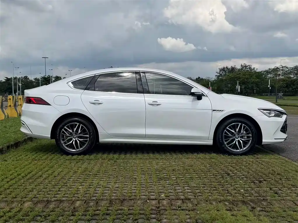 BYD Qin PLUS 2024
