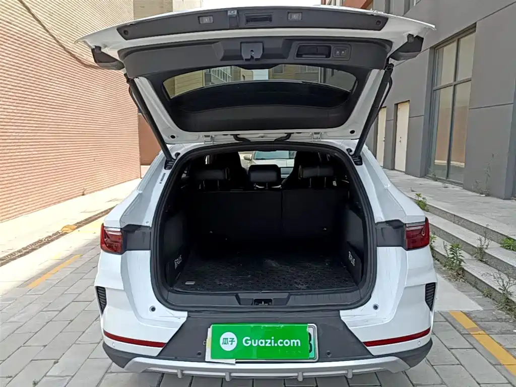 BYD PLUS New Energy 2022 — фото 19