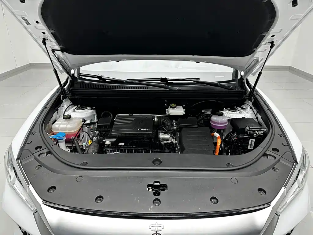 BYD Song Pro New Energy 2024 — фото 16