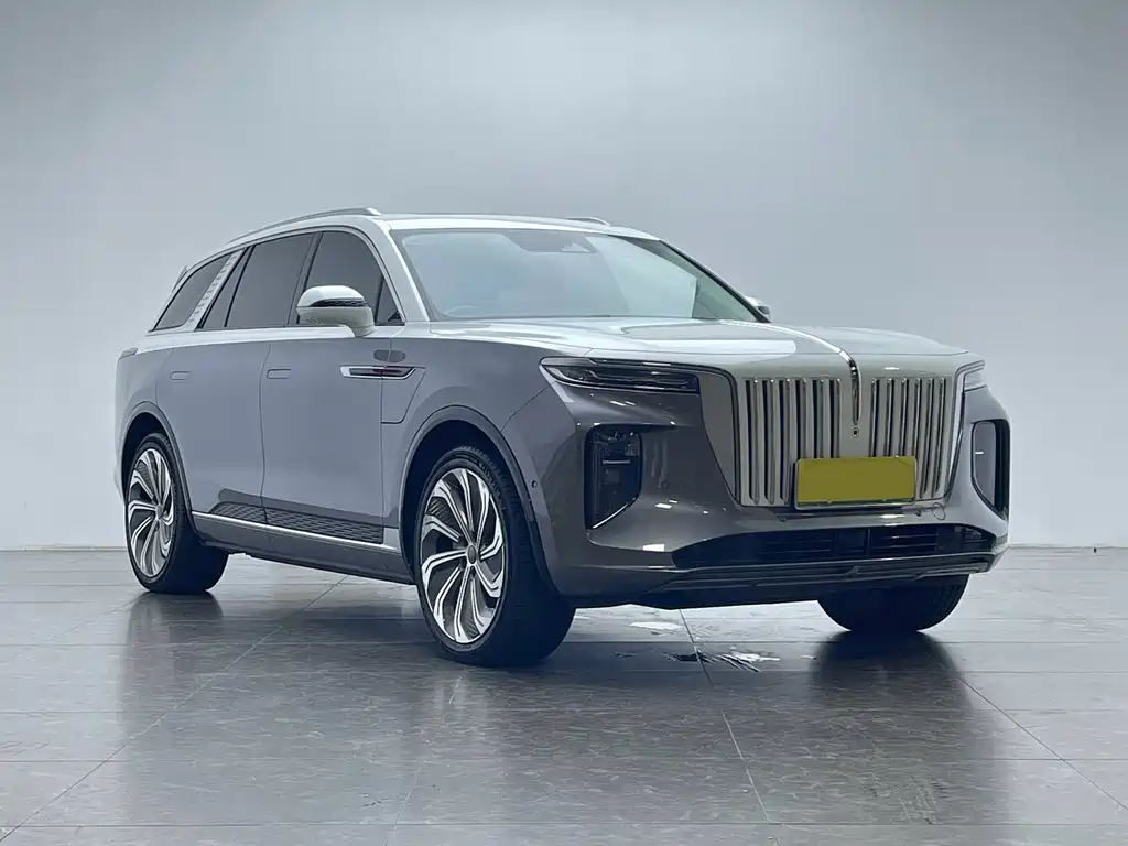 Hongqi E-HS9 2021 — фото 3
