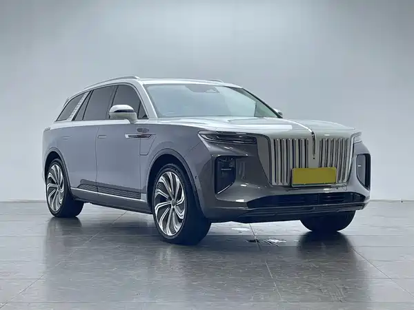 Hongqi E-HS9 2021