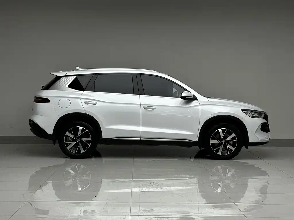 BYD Song Pro New Energy 2024 — фото 5