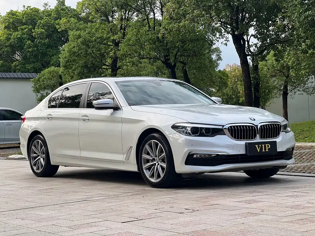 BMW 5 Series 2017 — фото 6