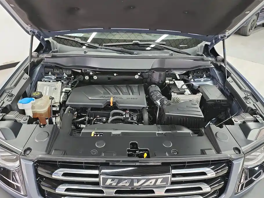 Haval Big Dog 2021 — фото 10