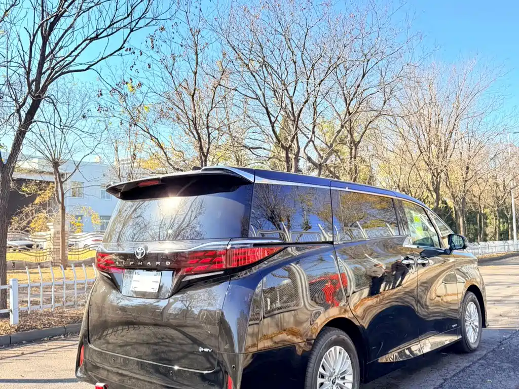Toyota Alphard — фото 14