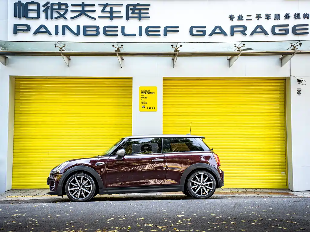 MINI MINI 2020