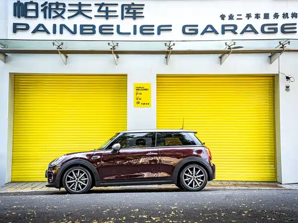 MINI 2020