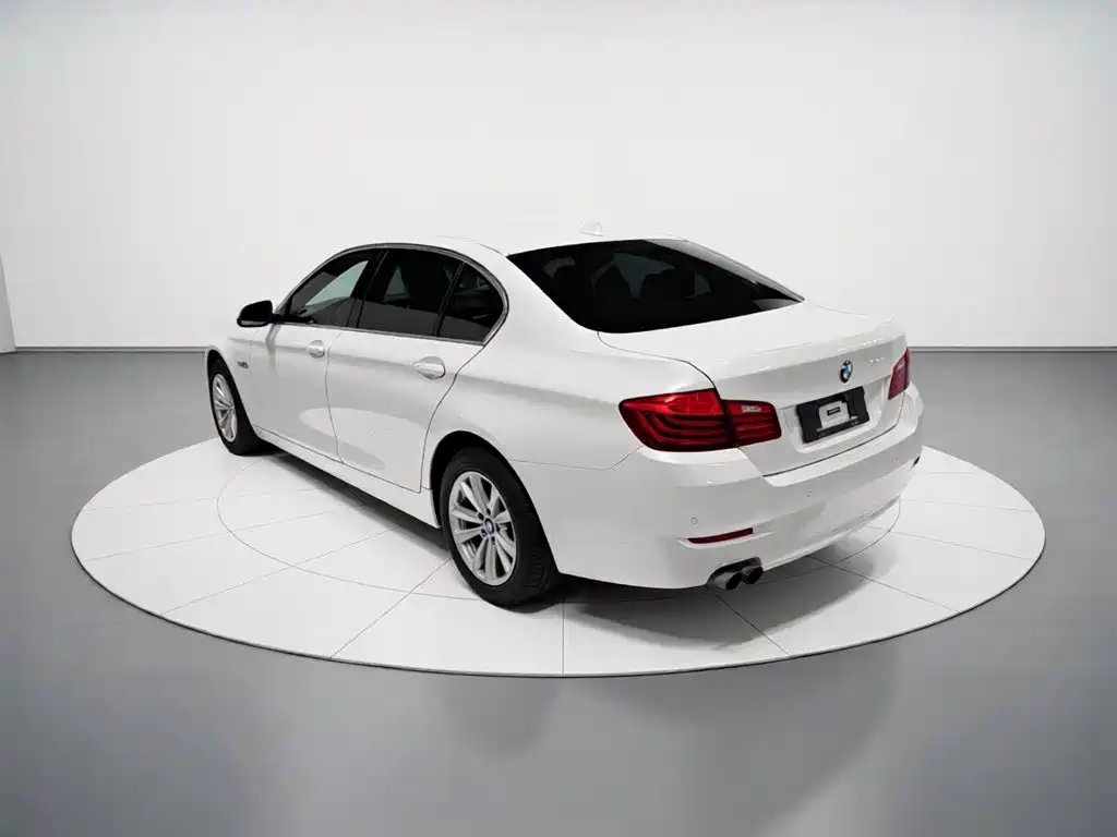 BMW 5 Series 2014