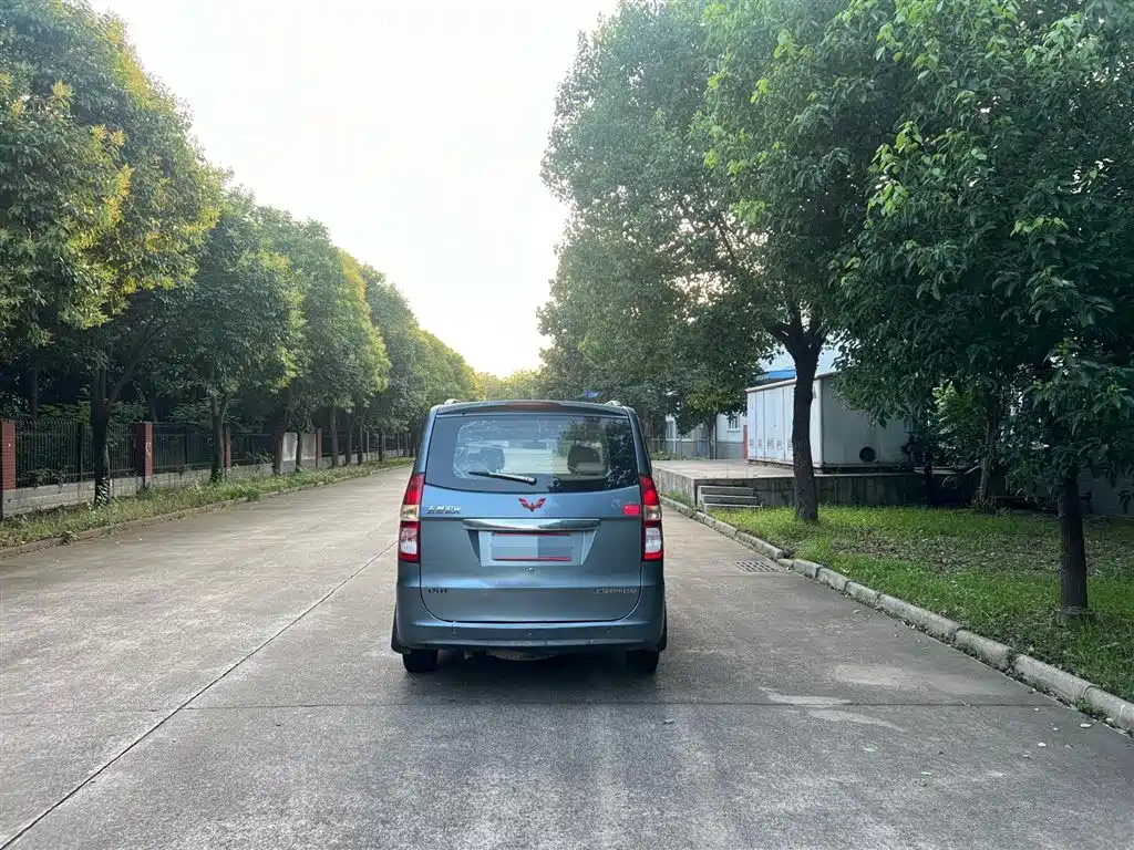 Wuling Hongguang 2014