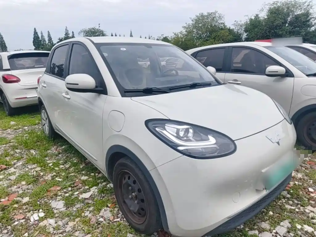 Wuling Bingo 2023