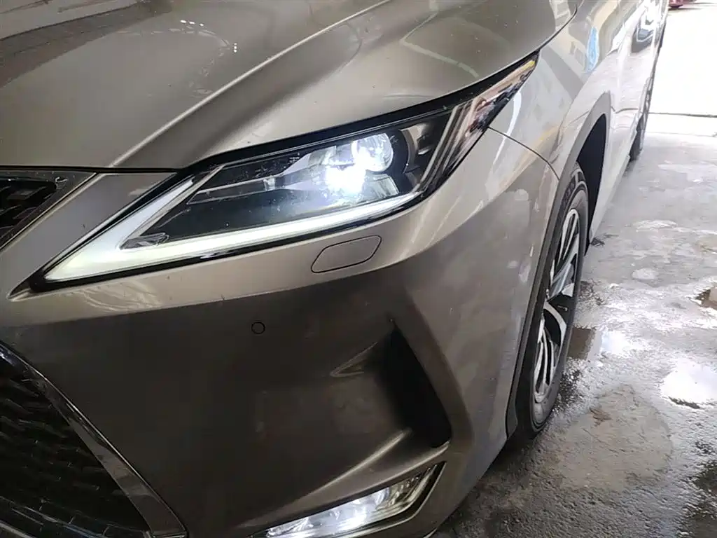 Lexus RX 2020 — фото 24
