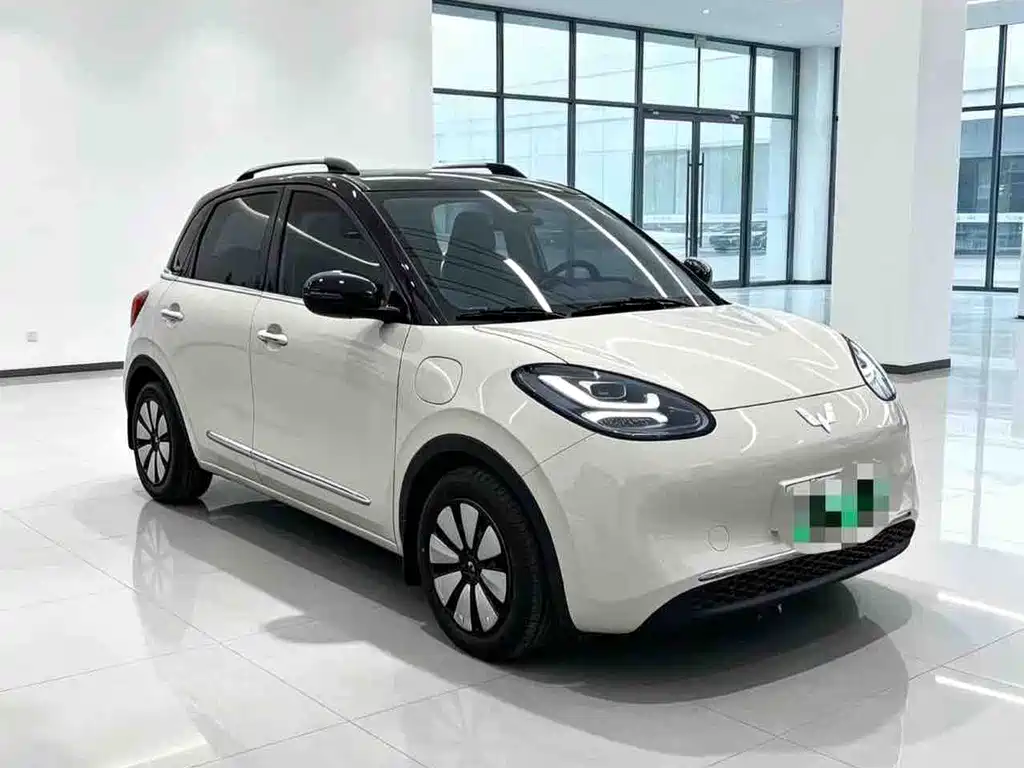 Wuling Bingo 2024