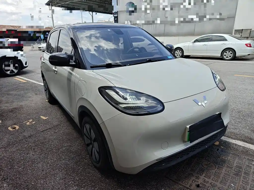 Wuling Bingo 2024