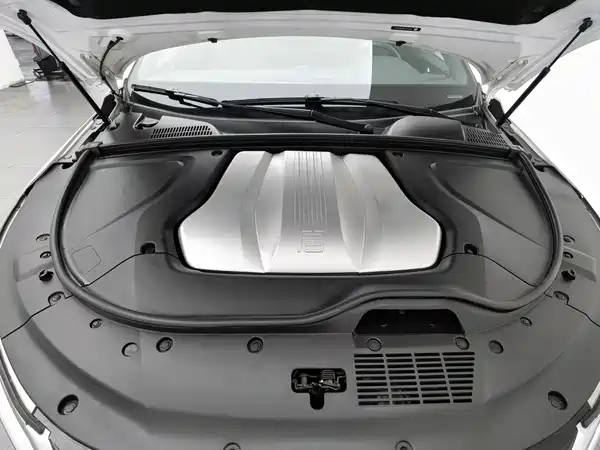 BYD Tang New Energy 2020