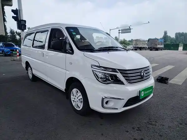 Dongfeng Lingzhi 2019