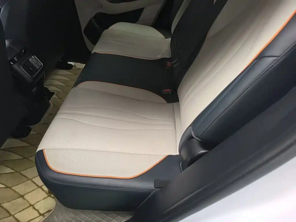 BYD Song PLUS New Energy 2024 — фото 13
