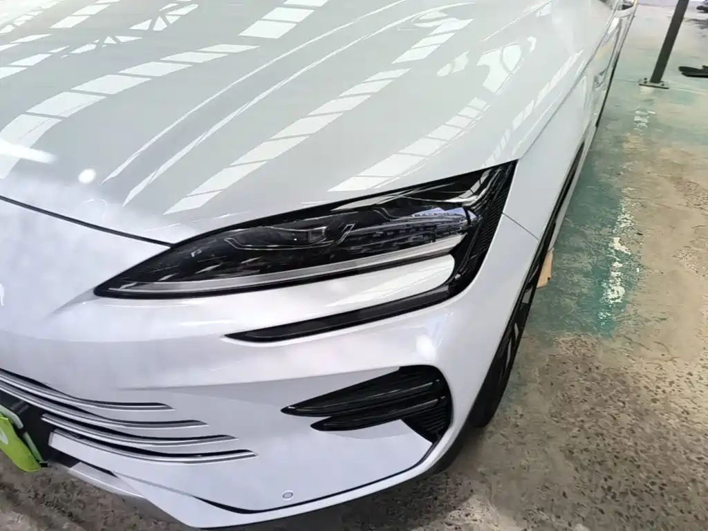 BYD Song PLUS New Energy 2024 — фото 18