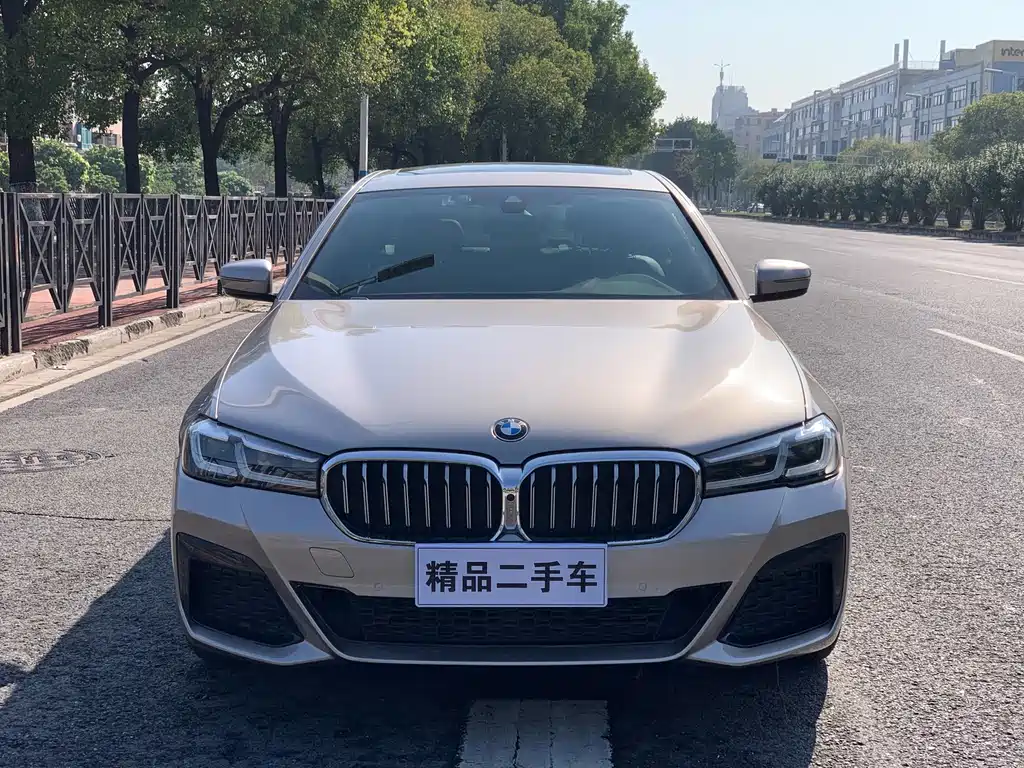 BMW 5 Series 2021