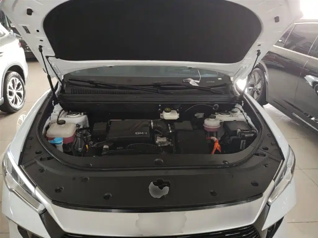 BYD Pro New Energy 2024 — фото 20