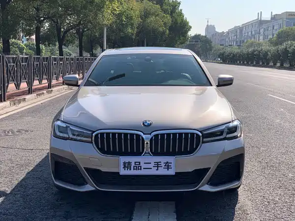 BMW 5 Series 2021