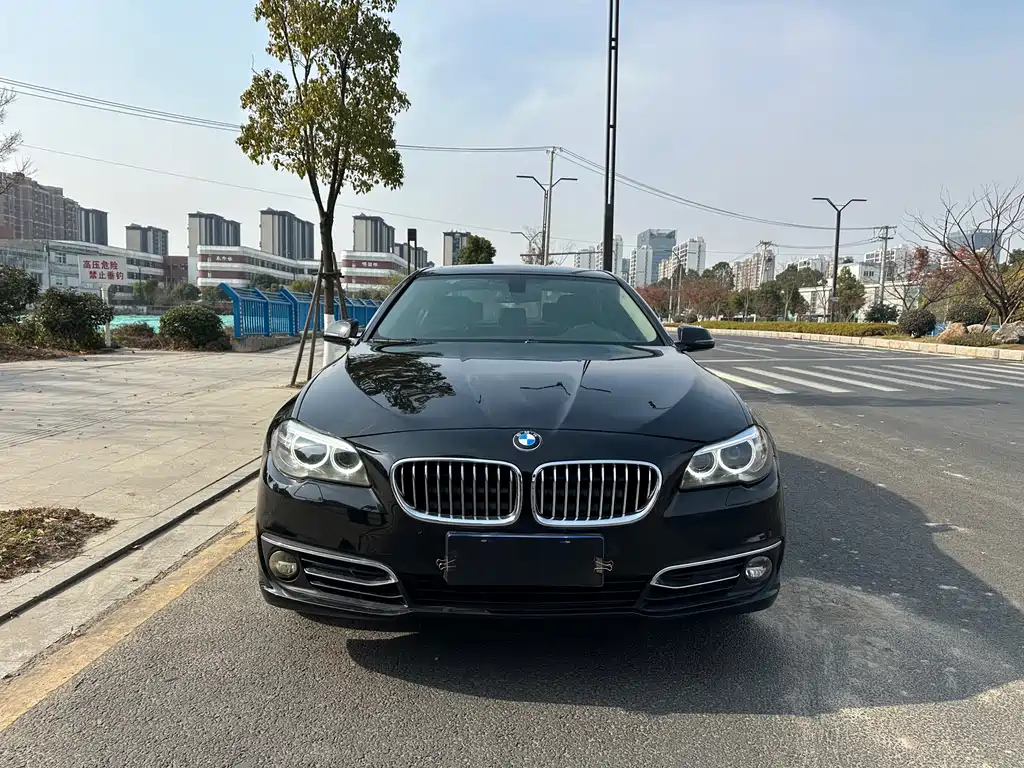BMW 5 Series 2014 — фото 2