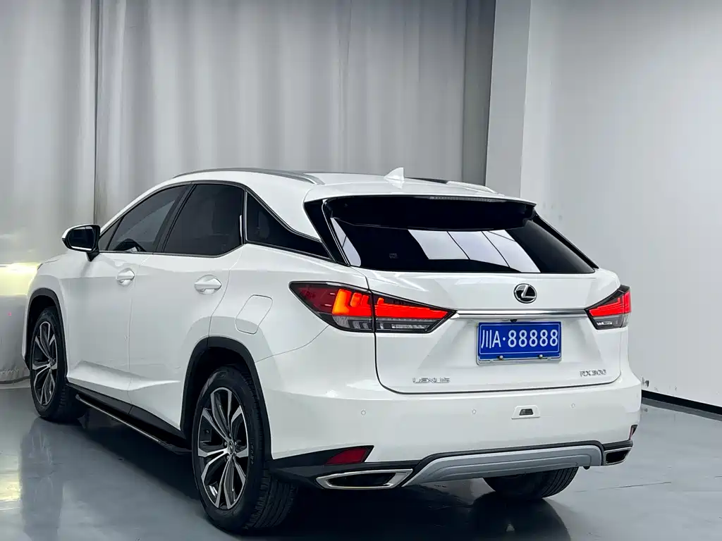 Lexus RX 2019 — фото 15
