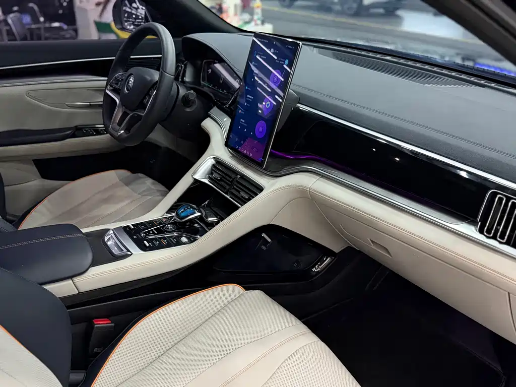 BYD PLUS New Energy 2021 — фото 12