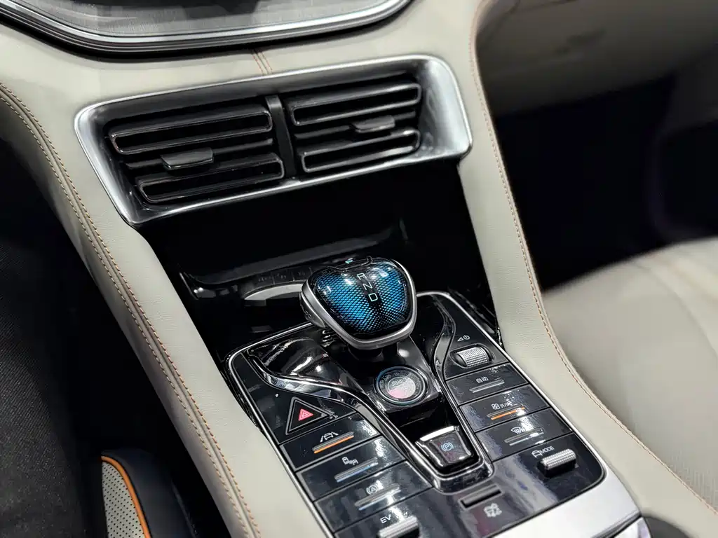 BYD PLUS New Energy 2021 — фото 15