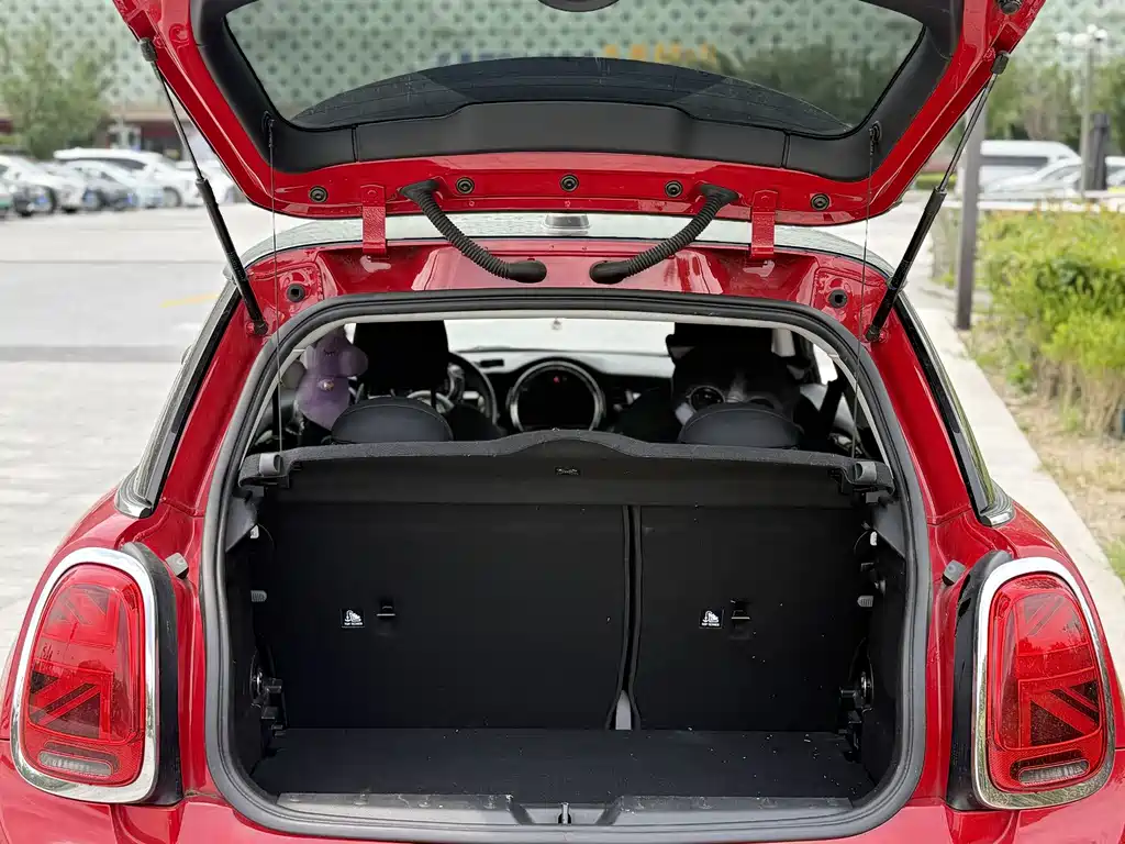 MINI MINI 2019