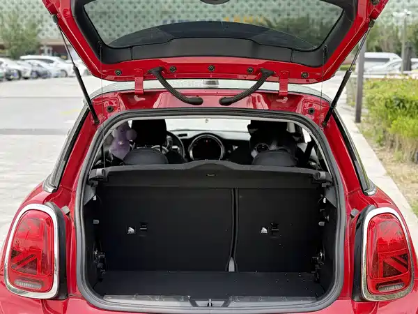MINI MINI 2019