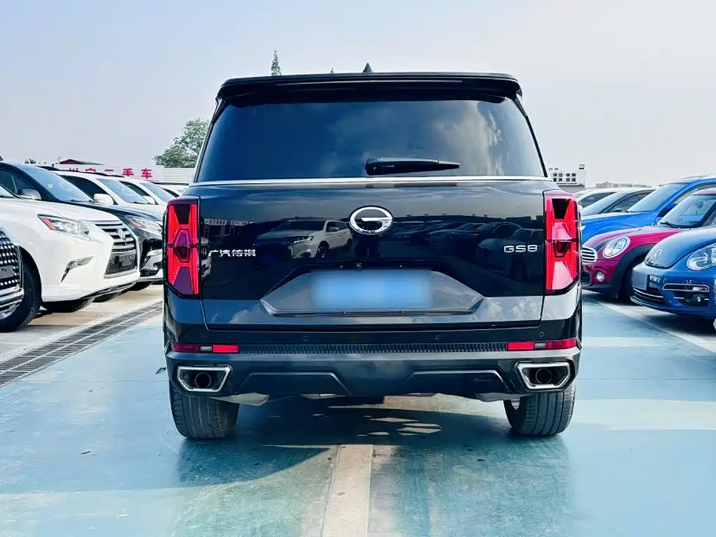 GAC Trumpchi GS8 2023 — фото 12
