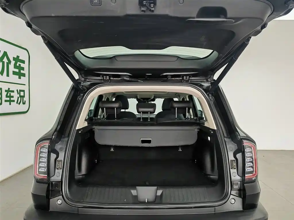 Haval Big Dog 2021 — фото 16