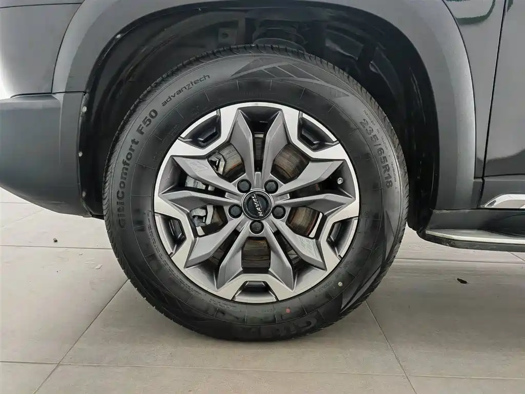 Haval Big Dog 2021 — фото 17