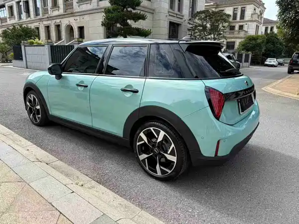 MINI MINI 2025