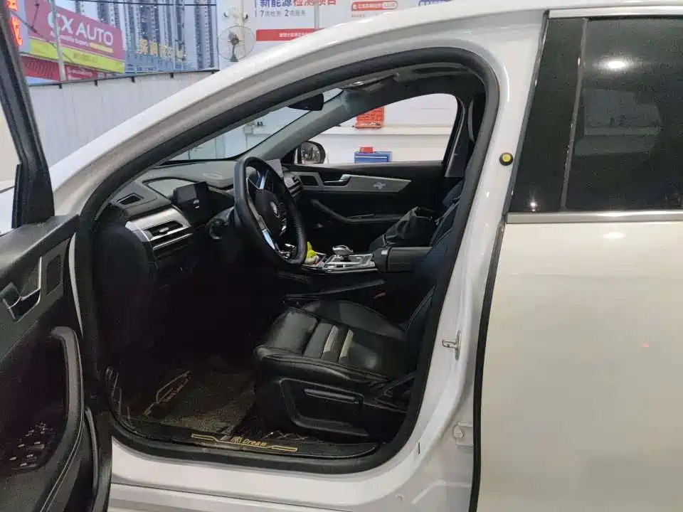 BYD Qin Pro NEV 2019 — фото 3