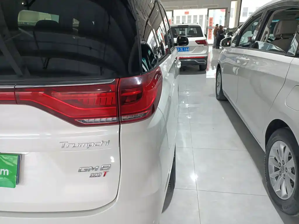 GAC Motor Trumpchi M8 2019 — фото 8