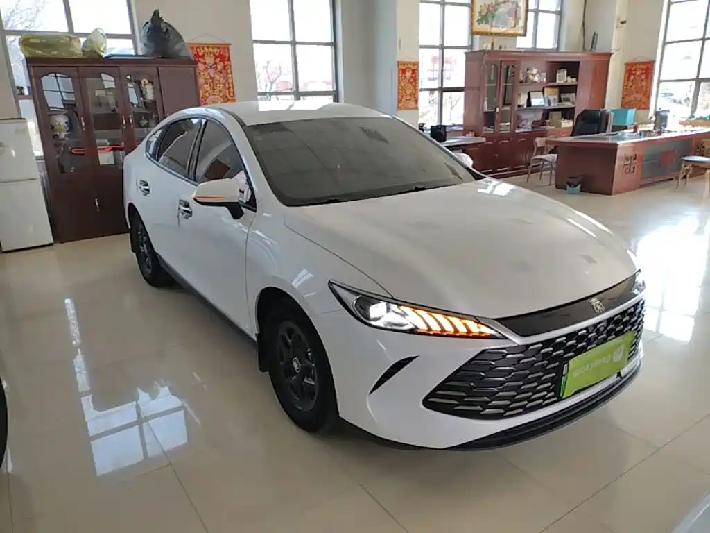 BYD Qin PLUS 2025 — фото 22