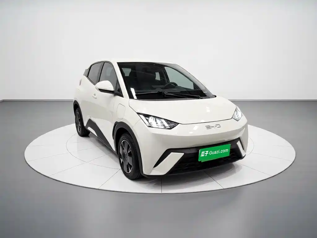 BYD Seagull 2024