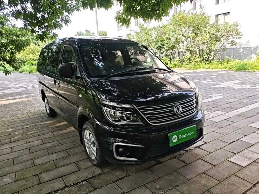 Fengxing Lingzhi 2020