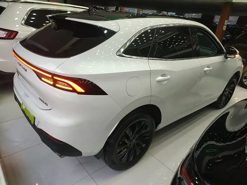 Dongfeng Fengxing T5 EVO 2024 — фото 5