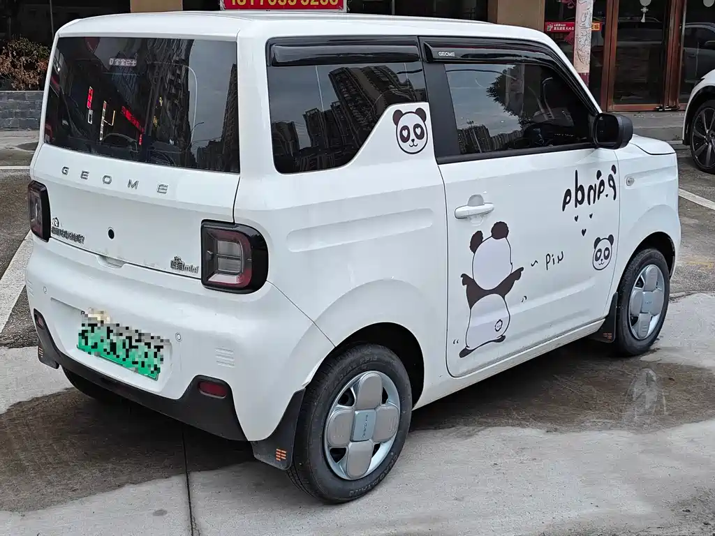 Galaxy Panda 2024